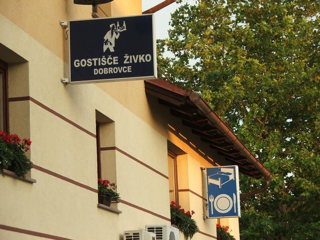 Guesthouse Zivko Dobrovce Εξωτερικό φωτογραφία